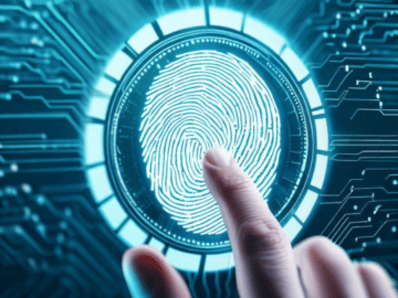Sistema de Biometria